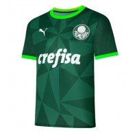 Dres Palmeiras Domaci 2023-24 Kratak Rukav